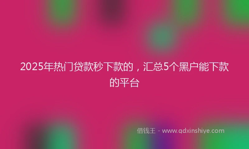 2025年热门贷款秒下款的,汇总5个黑户能下款的平台