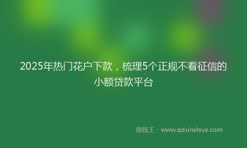 2025年热门花户下款，梳理5个正规不看征信的小额贷款平台