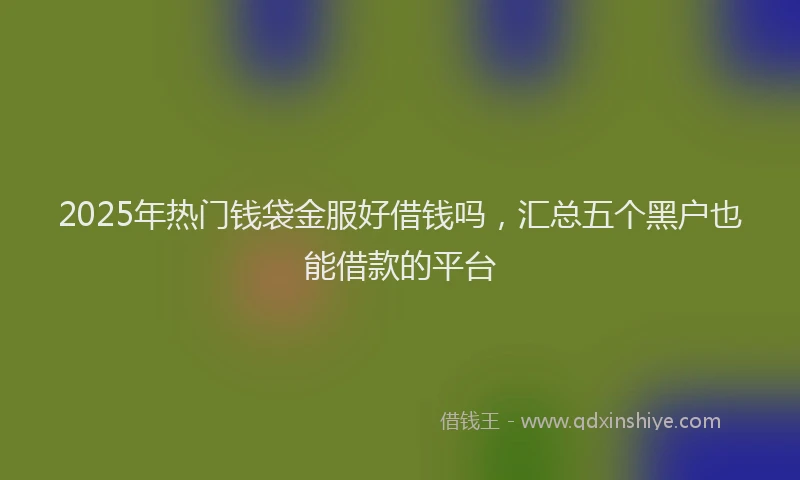2025年热门钱袋金服好借钱吗，汇总五个黑户也能借款的平台