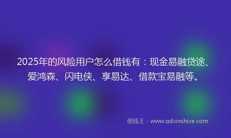 2025年的风险用户怎么借钱有:现金易融贷途、爱鸿森、闪电侠、享易达、借款宝易融等。