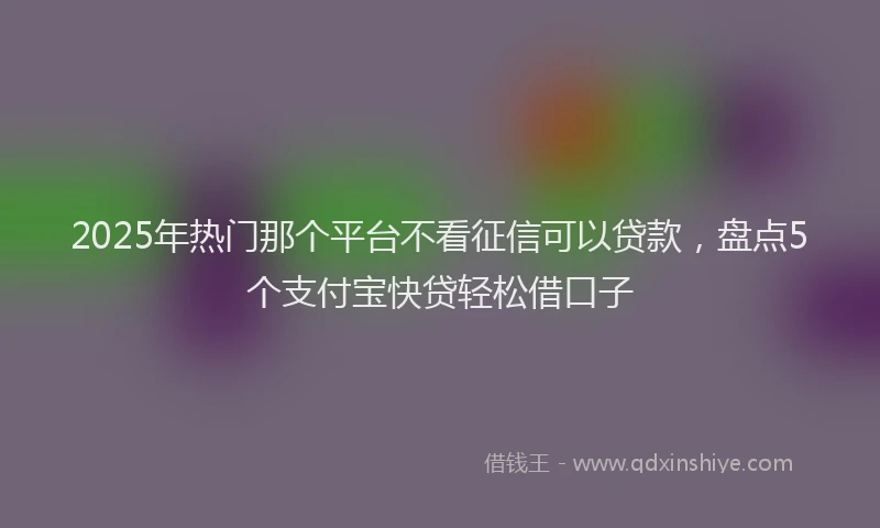 2025年热门那个平台不看征信可以贷款,盘点5个支付宝快贷轻松借口子