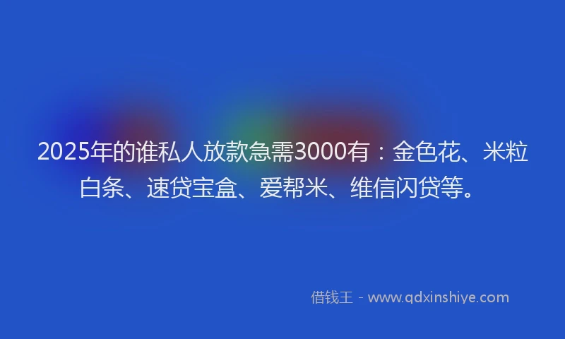 2025年的谁私人放款急需3000有：金色花、米粒白条、速贷宝盒、爱帮米、维信闪贷等。