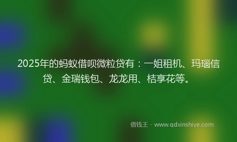 2025年的蚂蚁借呗微粒贷有：一姐租机、玛瑙信贷、金瑞钱包、龙龙用、桔享花等。