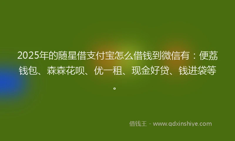 2025年的随星借支付宝怎么借钱到微信有：便荔钱包、森森花呗、优一租、现金好贷、钱进袋等。