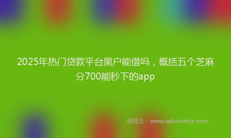 2025年热门贷款平台黑户能借吗,概括五个芝麻分700能秒下的app