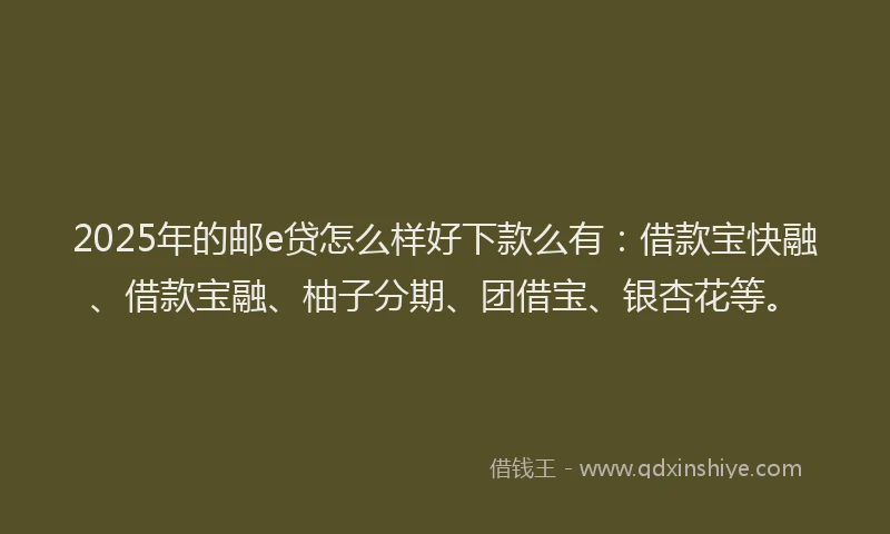 2025年的邮e贷怎么样好下款么有:借款宝快融、借款宝融、柚子分期、团借宝、银杏花等。