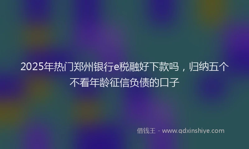 2025年热门郑州银行e税融好下款吗，归纳五个不看年龄征信负债的口子