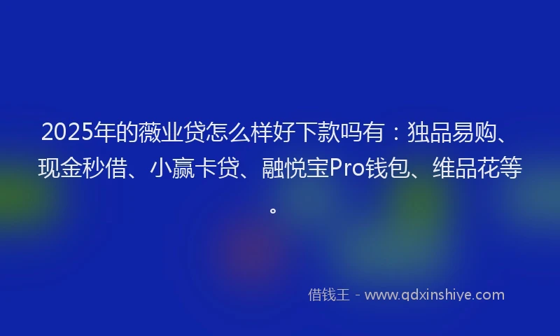 2025年的薇业贷怎么样好下款吗有：独品易购、现金秒借、小赢卡贷、融悦宝Pro钱包、维品花等。