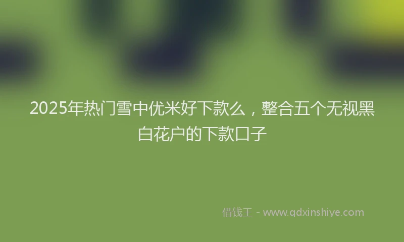 2025年热门雪中优米好下款么，整合五个无视黑白花户的下款口子