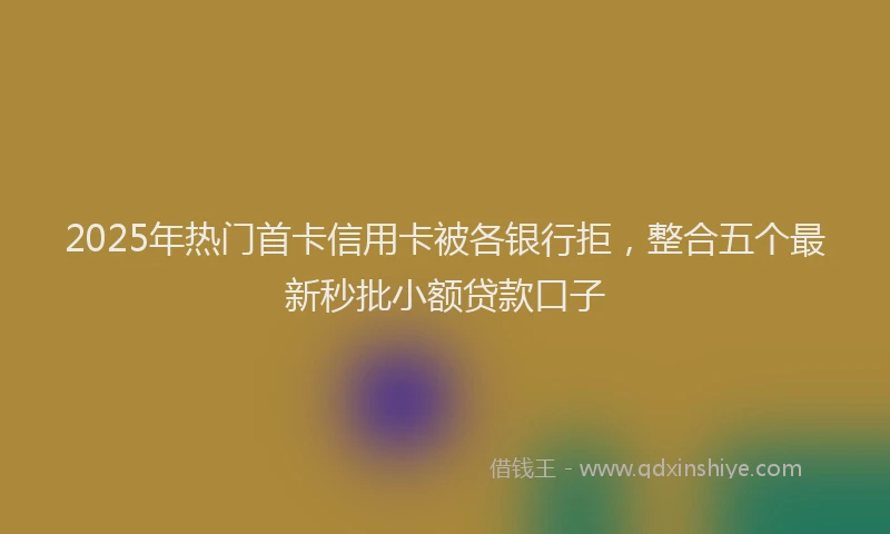 2025年热门首卡信用卡被各银行拒，整合五个最新秒批小额贷款口子