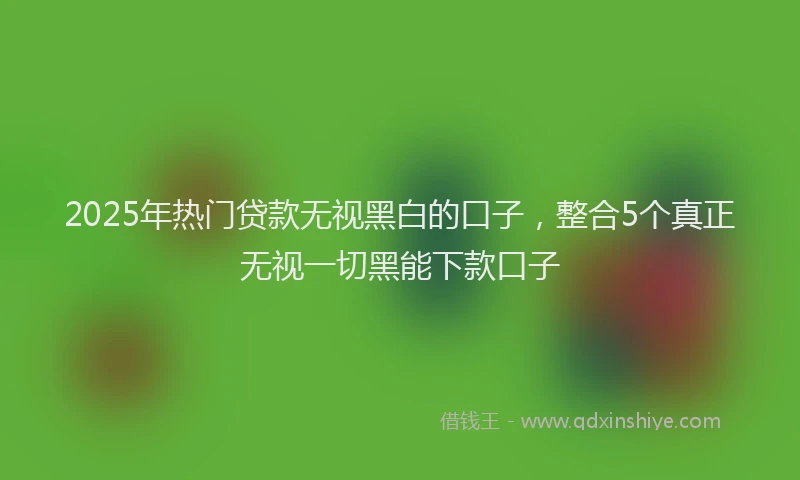 2025年热门贷款无视黑白的口子,整合5个真正无视一切黑能下款口子