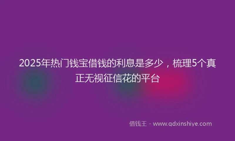 2025年热门钱宝借钱的利息是多少,梳理5个真正无视征信花的平台