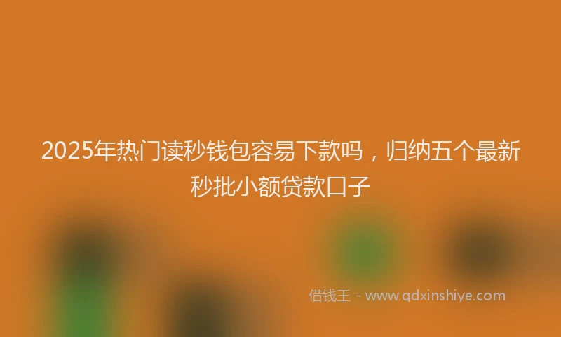 2025年热门读秒钱包容易下款吗，归纳五个最新秒批小额贷款口子