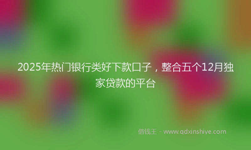2025年热门银行类好下款口子，整合五个12月独家贷款的平台