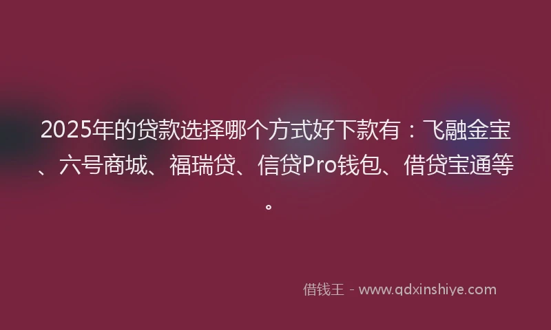 2025年的贷款选择哪个方式好下款有：飞融金宝、六号商城、福瑞贷、信贷Pro钱包、借贷宝通等。