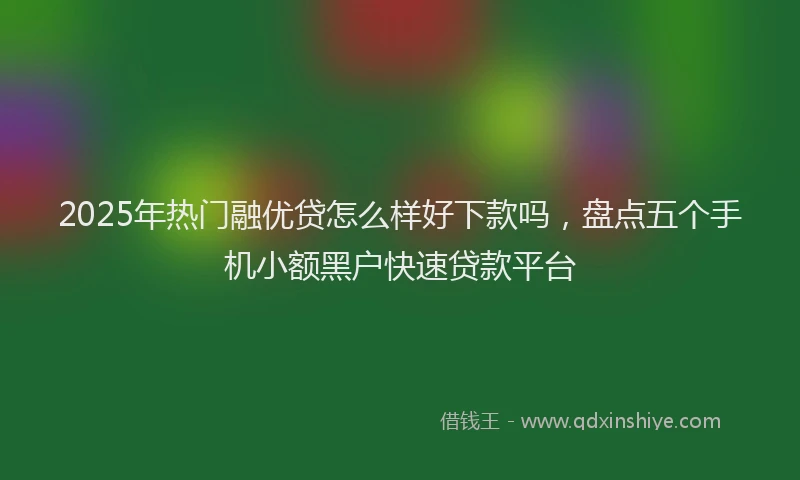 2025年热门融优贷怎么样好下款吗，盘点五个手机小额黑户快速贷款平台