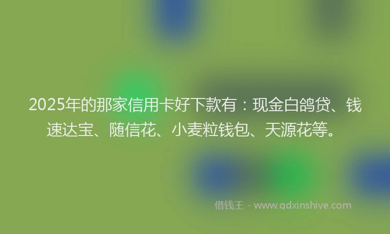 2025年的那家信用卡好下款有：现金白鸽贷、钱速达宝、随信花、小麦粒钱包、天源花等。