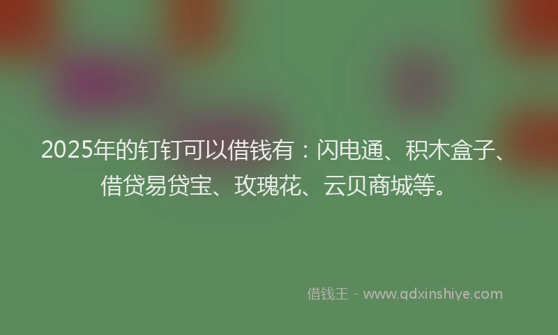 2025年的钉钉可以借钱有：闪电通、积木盒子、借贷易贷宝、玫瑰花、云贝商城等。
