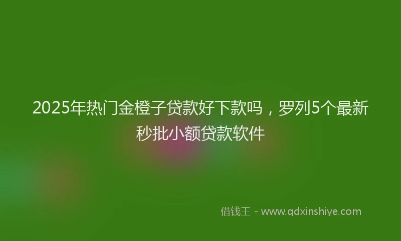 2025年热门金橙子贷款好下款吗，罗列5个最新秒批小额贷款软件