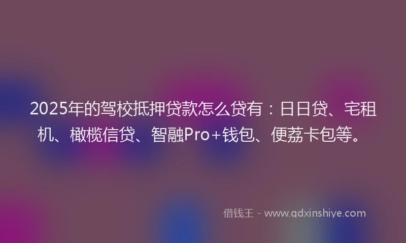 2025年的驾校抵押贷款怎么贷有：日日贷、宅租机、橄榄信贷、智融Pro+钱包、便荔卡包等。