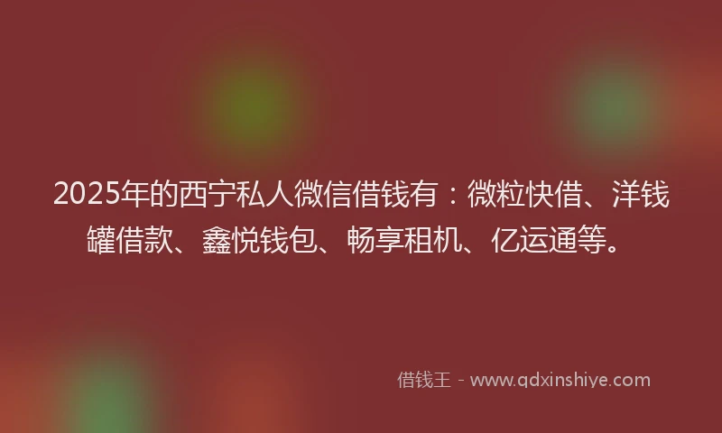 2025年的西宁私人微信借钱有：微粒快借、洋钱罐借款、鑫悦钱包、畅享租机、亿运通等。