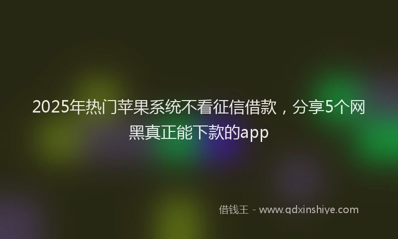 2025年热门苹果系统不看征信借款，分享5个网黑真正能下款的app