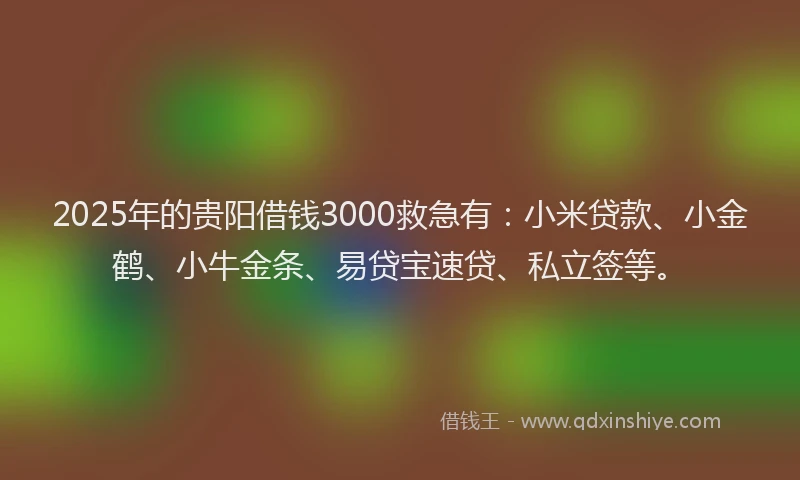 2025年的贵阳借钱3000救急有:小米贷款、小金鹤、小牛金条、易贷宝速贷、私立签等。