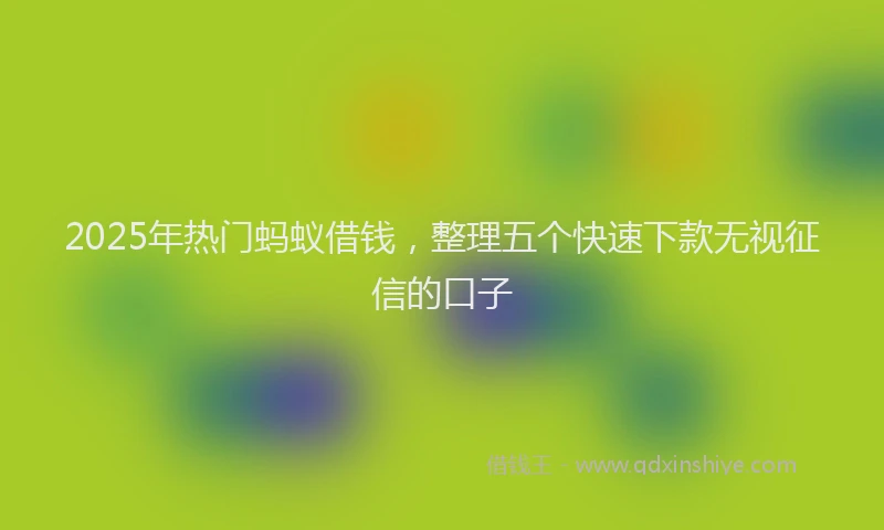 2025年热门蚂蚁借钱,整理五个快速下款无视征信的口子