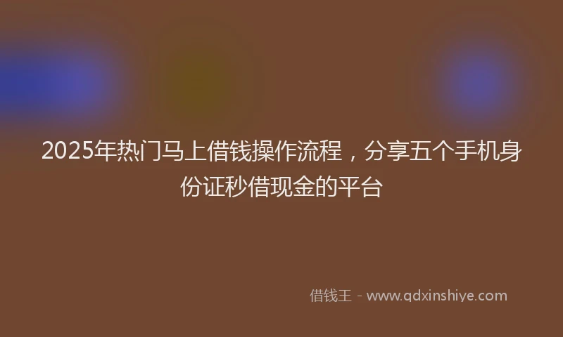 2025年热门马上借钱操作流程，分享五个手机身份证秒借现金的平台