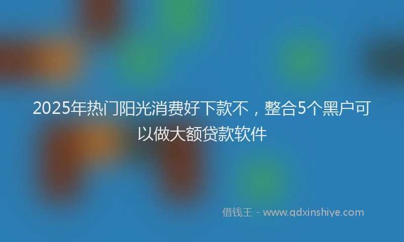 2025年热门阳光消费好下款不，整合5个黑户可以做大额贷款软件