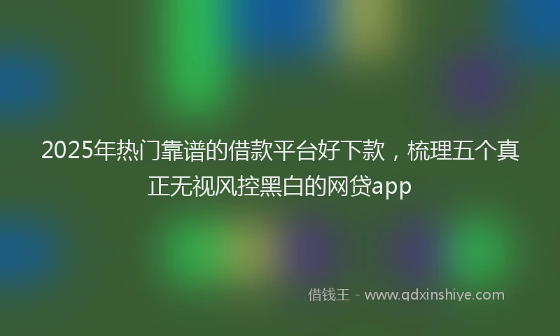 2025年热门靠谱的借款平台好下款，梳理五个真正无视风控黑白的网贷app