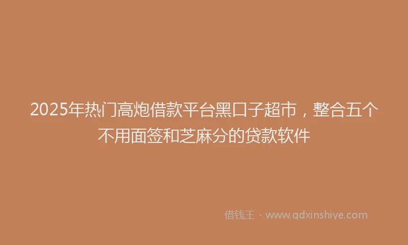 2025年热门高炮借款平台黑口子超市，整合五个不用面签和芝麻分的贷款软件