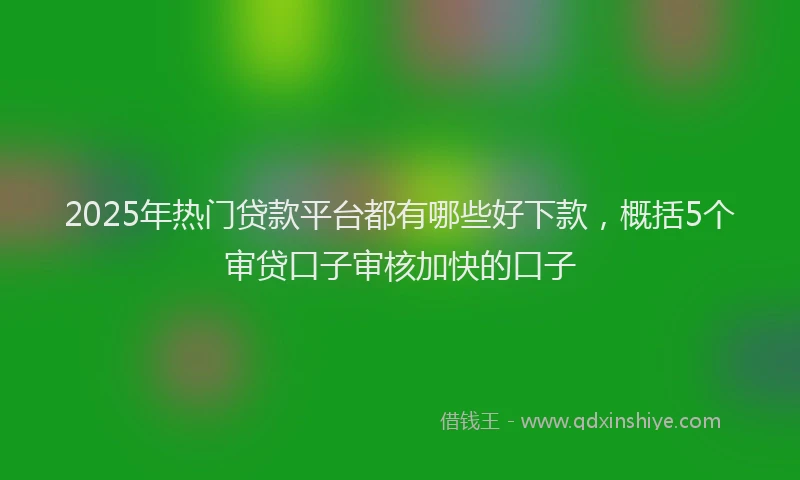 2025年热门贷款平台都有哪些好下款,概括5个审贷口子审核加快的口子