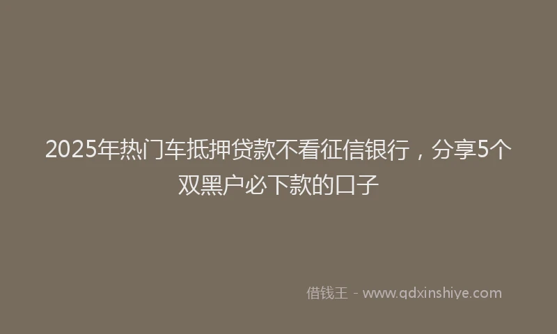 2025年热门车抵押贷款不看征信银行，分享5个双黑户必下款的口子