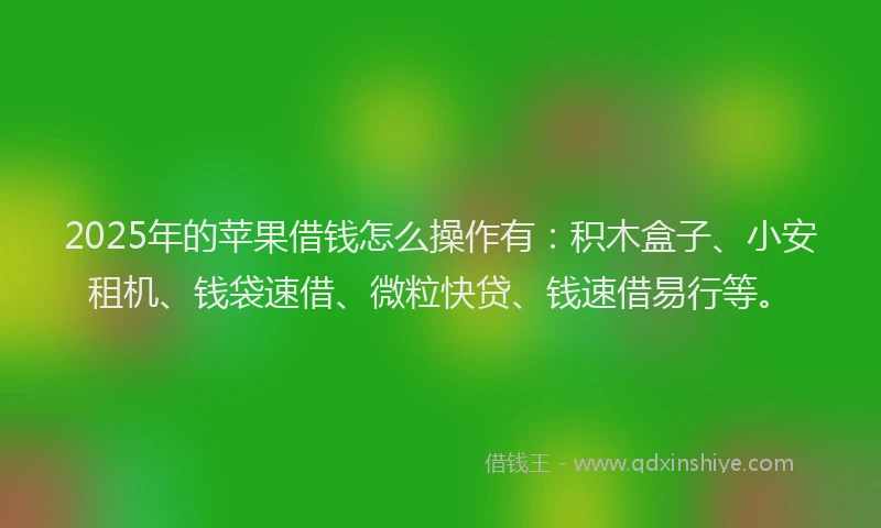 2025年的苹果借钱怎么操作有：积木盒子、小安租机、钱袋速借、微粒快贷、钱速借易行等。