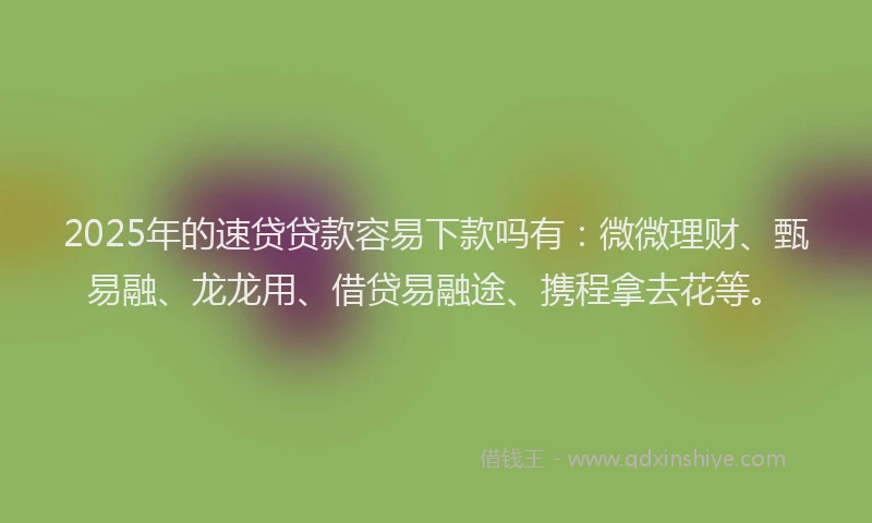 2025年的速贷贷款容易下款吗有：微微理财、甄易融、龙龙用、借贷易融途、携程拿去花等。