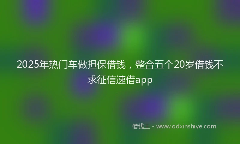 2025年热门车做担保借钱,整合五个20岁借钱不求征信速借app