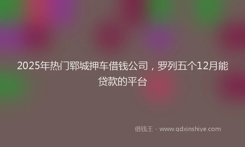 2025年热门郓城押车借钱公司，罗列五个12月能贷款的平台