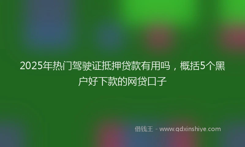 2025年热门驾驶证抵押贷款有用吗,概括5个黑户好下款的网贷口子