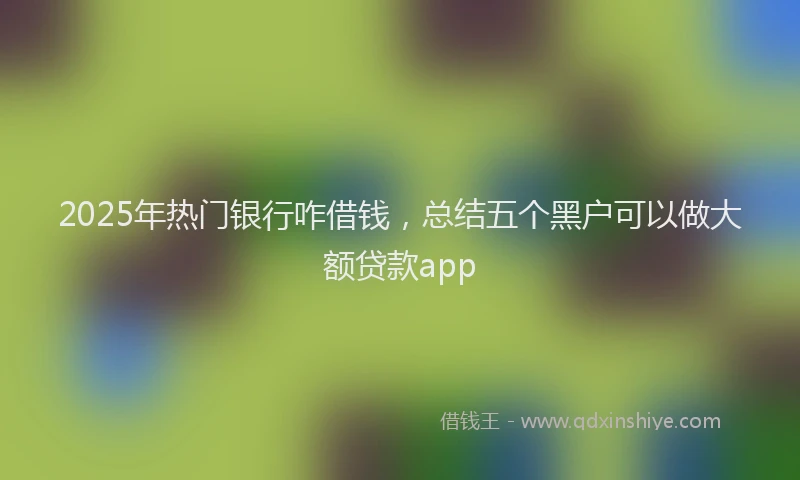 2025年热门银行咋借钱,总结五个黑户可以做大额贷款app
