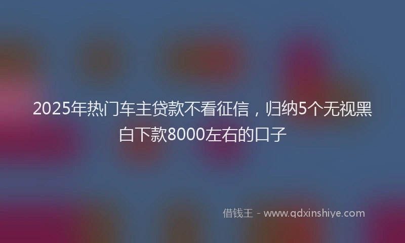 2025年热门车主贷款不看征信,归纳5个无视黑白下款8000左右的口子