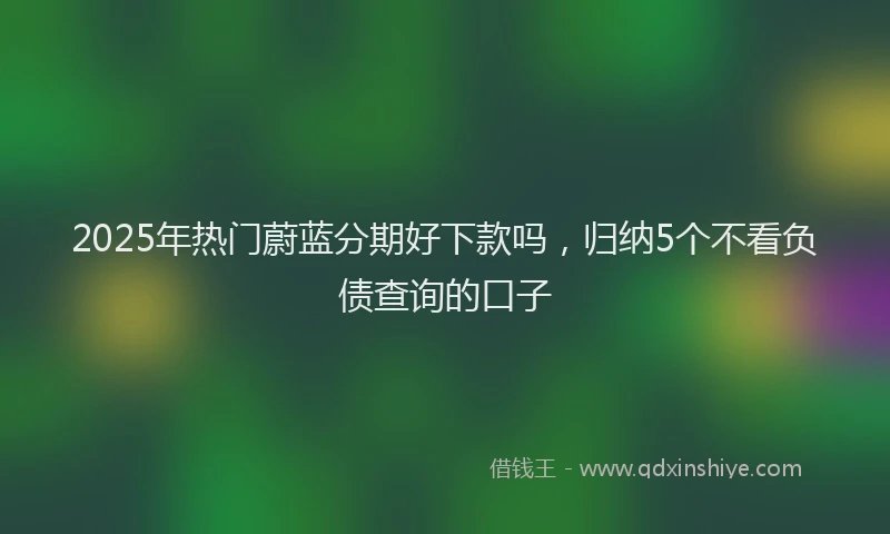 2025年热门蔚蓝分期好下款吗，归纳5个不看负债查询的口子