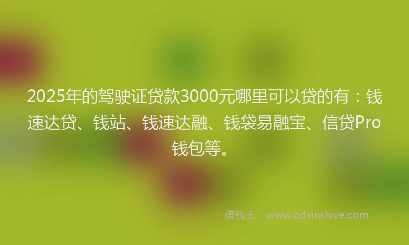 2025年的驾驶证贷款3000元哪里可以贷的有:钱速达贷、钱站、钱速达融、钱袋易融宝、信贷Pro钱包等。