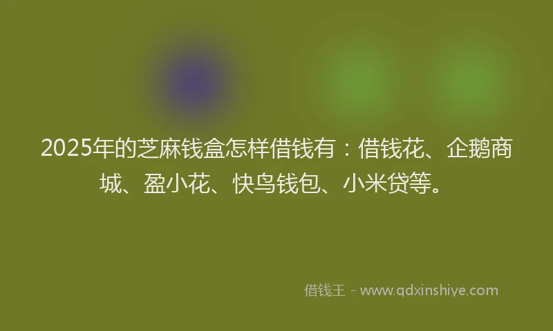 2025年的芝麻钱盒怎样借钱有:借钱花、企鹅商城、盈小花、快鸟钱包、小米贷等。