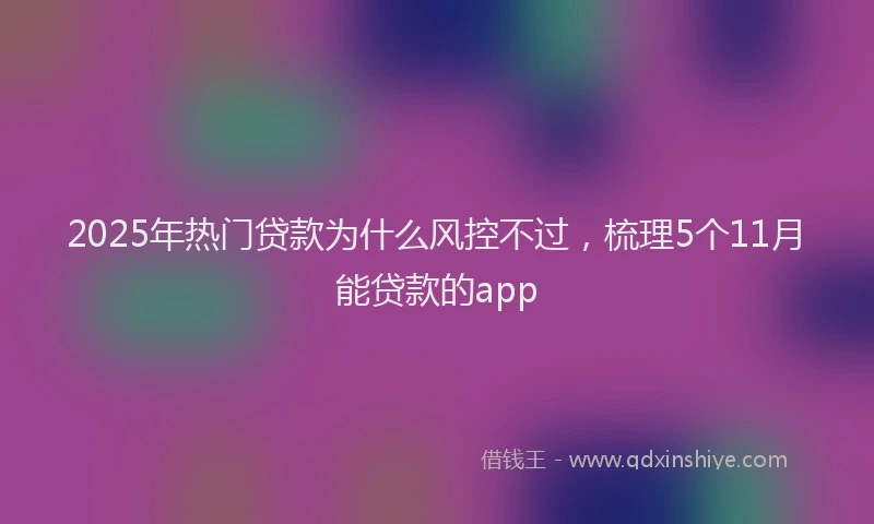2025年热门贷款为什么风控不过,梳理5个11月能贷款的app