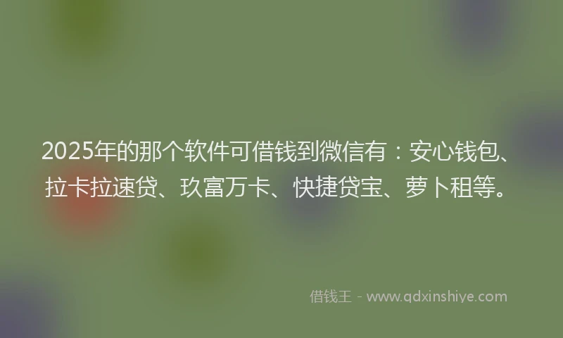 2025年的那个软件可借钱到微信有：安心钱包、拉卡拉速贷、玖富万卡、快捷贷宝、萝卜租等。