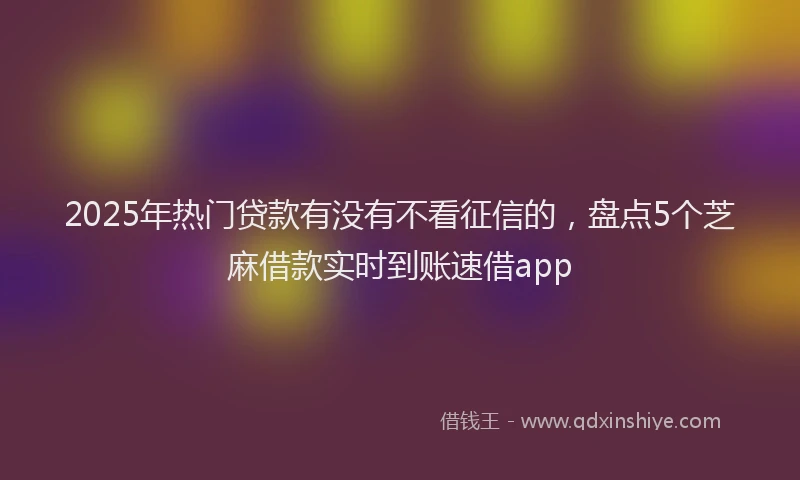 2025年热门贷款有没有不看征信的,盘点5个芝麻借款实时到账速借app