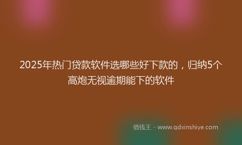 2025年热门贷款软件选哪些好下款的，归纳5个高炮无视逾期能下的软件
