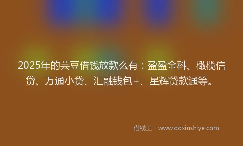 2025年的芸豆借钱放款么有：盈盈金科、橄榄信贷、万通小贷、汇融钱包+、星辉贷款通等。