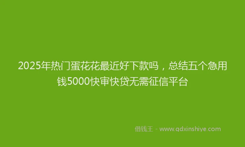 2025年热门蛋花花最近好下款吗，总结五个急用钱5000快审快贷无需征信平台